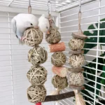 S4e9b3a902f874e8f8df83375c1566be9d