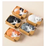 S50f5011e4aa14876beb6b9902fccf077i