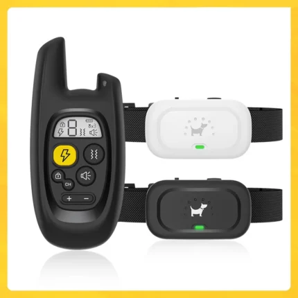 S5a77858773744407b621ba54775888d9y 1