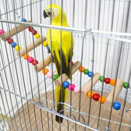 S5d2b355ed55e40e1a97419e7c431b848o