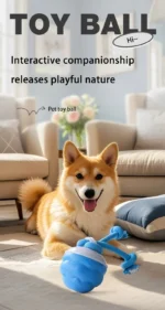 S6434929292674862a5579573cda70186o