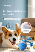 S665350e7e5a44c849332d2ef40b3337fe