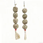 S6bfd79ac950341de8756fb72fab81c658