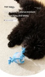 S76895e93f5974ea8b0117dff4406c2438