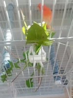 S7a38f05ba6774c8b99ce0f23a2c5de44j