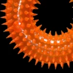 S990adeb926114f36bc72e1b0525a6a4fi