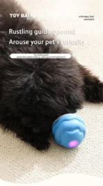 S9badfe830dc8409c93a9738e642b65b0m