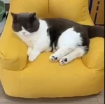 S9e79bb36f6cf47f28daef7a8d0fb4758f