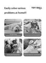 Saec7a3096e65413faf0b0157cda1c1636