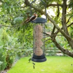 Sb0fe64055d6f4a79a8b6f03ade002aecy