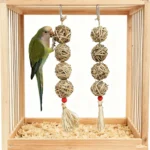 Sc6b09174d8ea4281826ccba459fb7a96a