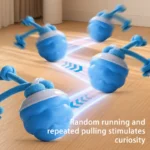 Sc781d67b4319440a9a035eae1b5321fc8