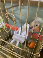 Scfbd27d5e5b448a1b99977bf2df342d8h