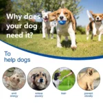 Sd81fadc72c584e31beebbb385cedd7f33