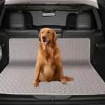 Sde263254e9aa409e8df9e74b77b007927