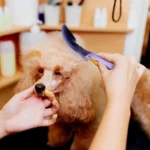 Se4d9ad8fa2fc4a6fa46359b7080d94769