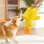 Se5927cc9641a4269a896e64b6dc0fa932